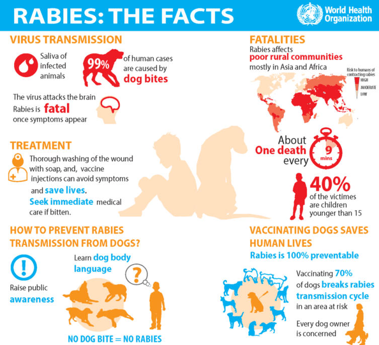 NATIONAL RABIES CONTROL PROGRAMME - UPSC Current Affairs