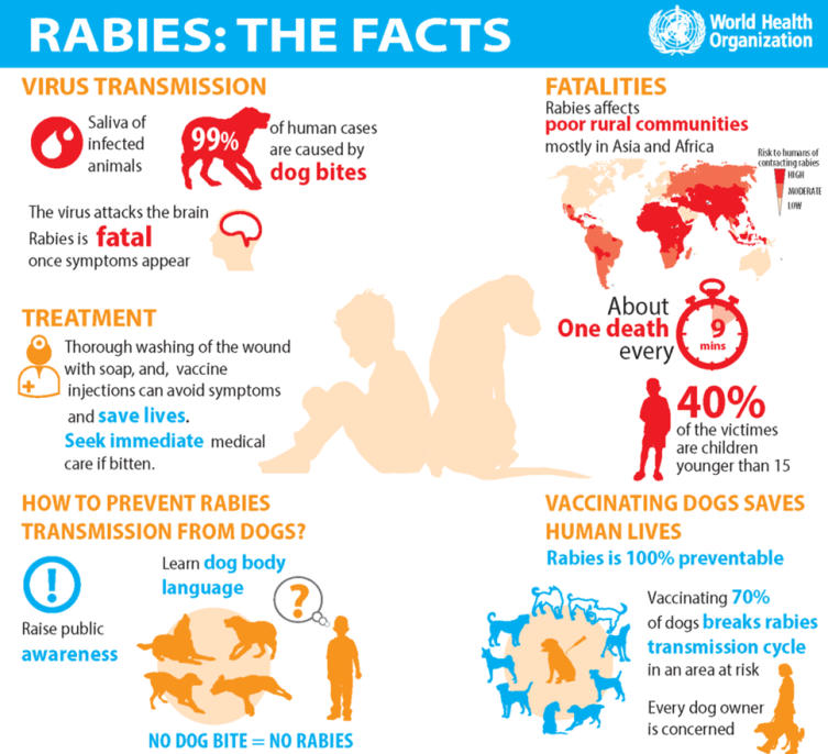 Government of India launched National Rabies Control Program (NRCP) for prevention and control of Rabies_60.1