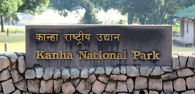 Biggest National Park in India, List of Top 10_130.1