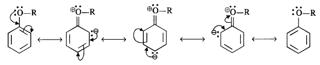 NCERT Solutions For Class 12 Chemistry Chapter 11 Alcohols Phenols and Ether 