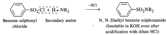 NCERT Solutions For Class 12 Chemistry Chapter 13 Amines