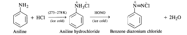 NCERT Solutions For Class 12 Chemistry Chapter 13 Amines