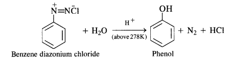 NCERT Solutions For Class 12 Chemistry Chapter 13 Amines