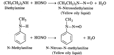 NCERT Solutions For Class 12 Chemistry Chapter 13 Amines