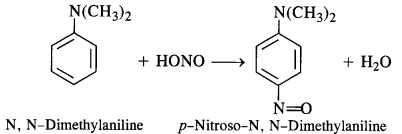 NCERT Solutions For Class 12 Chemistry Chapter 13 Amines