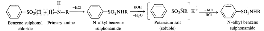 NCERT Solutions For Class 12 Chemistry Chapter 13