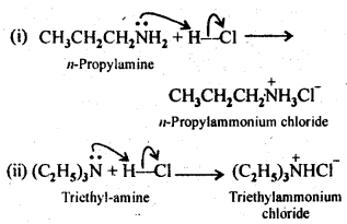 NCERT Solutions For Class 12 Chemistry Chapter 13