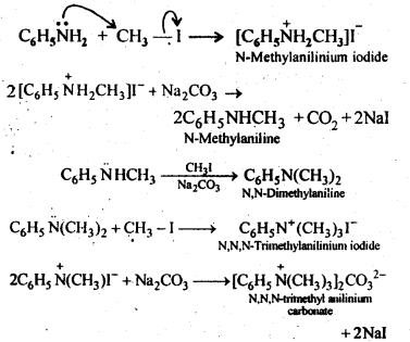 NCERT Solutions For Class 12 Chemistry Chapter 13 Amines