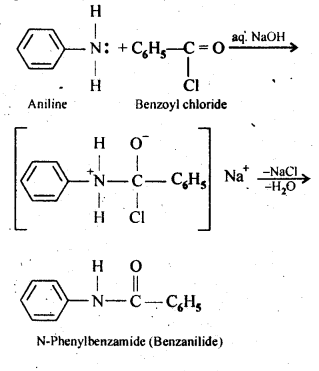 NCERT Solutions For Class 12 Chemistry Chapter 13