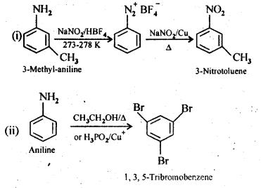 NCERT Solutions For Class 12 Chemistry Chapter 13