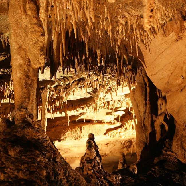 Mammoth Cave National Park: World Heritage Site (U.S. National Park Service)