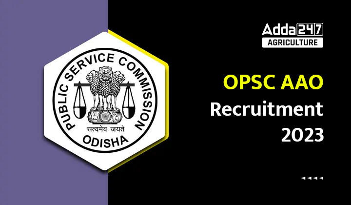 OPSC AAO Recruitment 2023