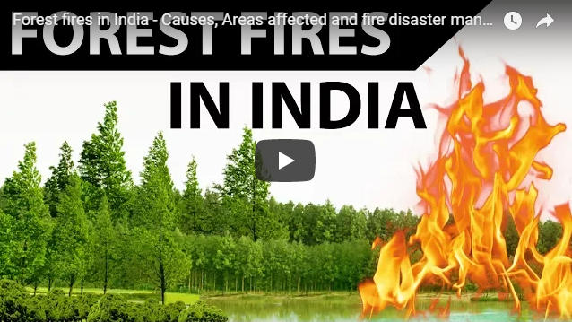 forest fires in india