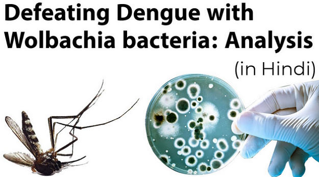 DENGUE