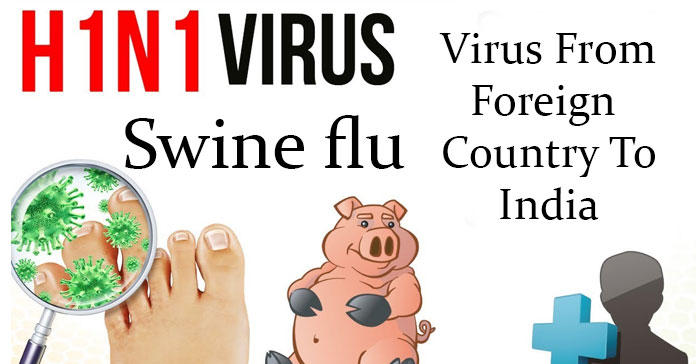 swine-flu