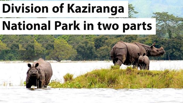 kaziranga