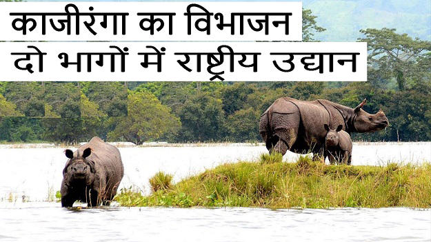 kaziranga 1