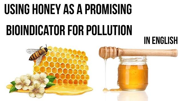 biomaker-honey