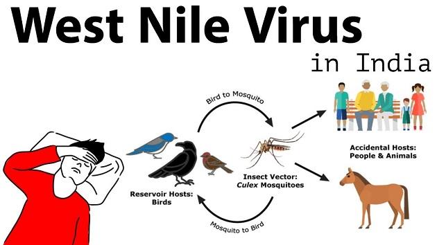 west-nile-virus