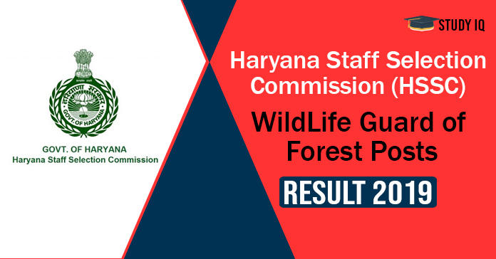 Haryana Staff Selection Commission (HSSC) 5