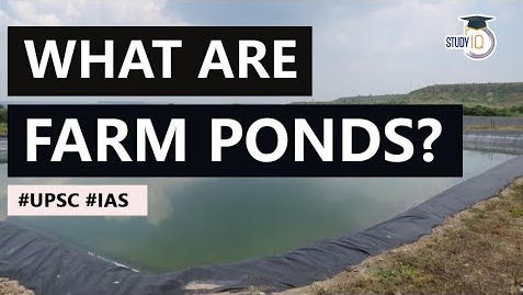 farm ponds