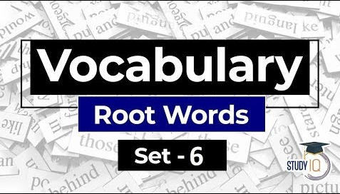 Vocab Set 6