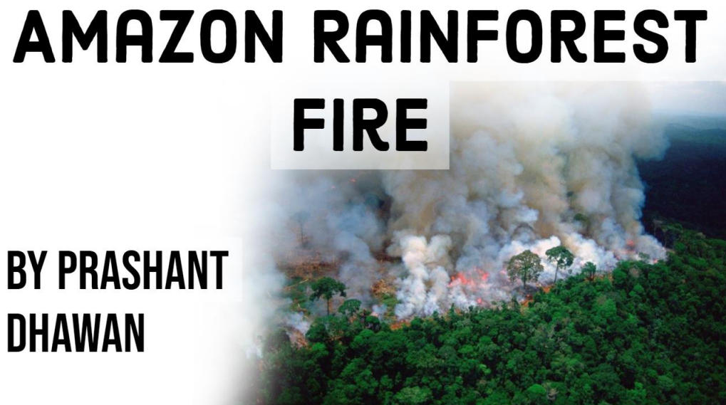 Amazon Forest Fire