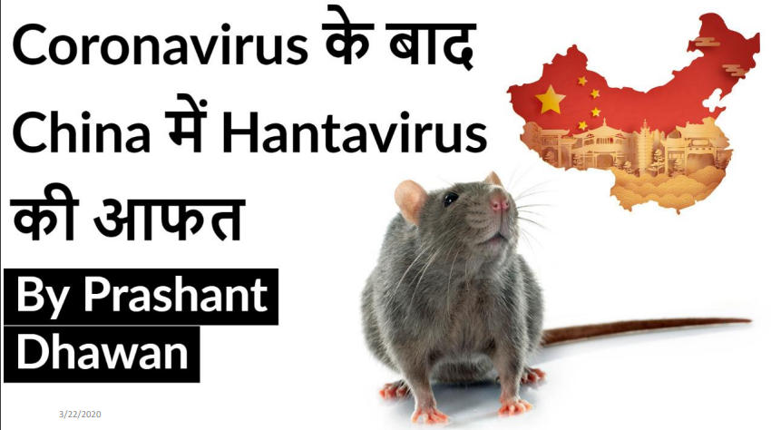 hantavirus feratur image