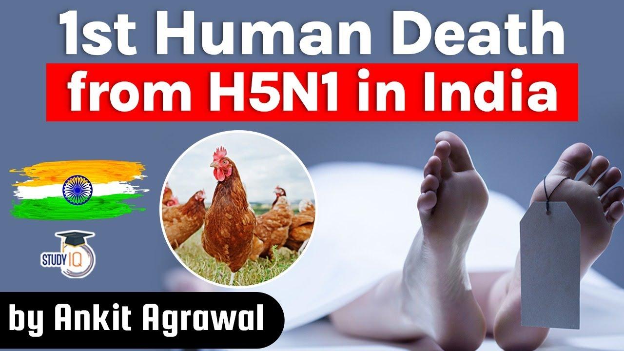 h5n1