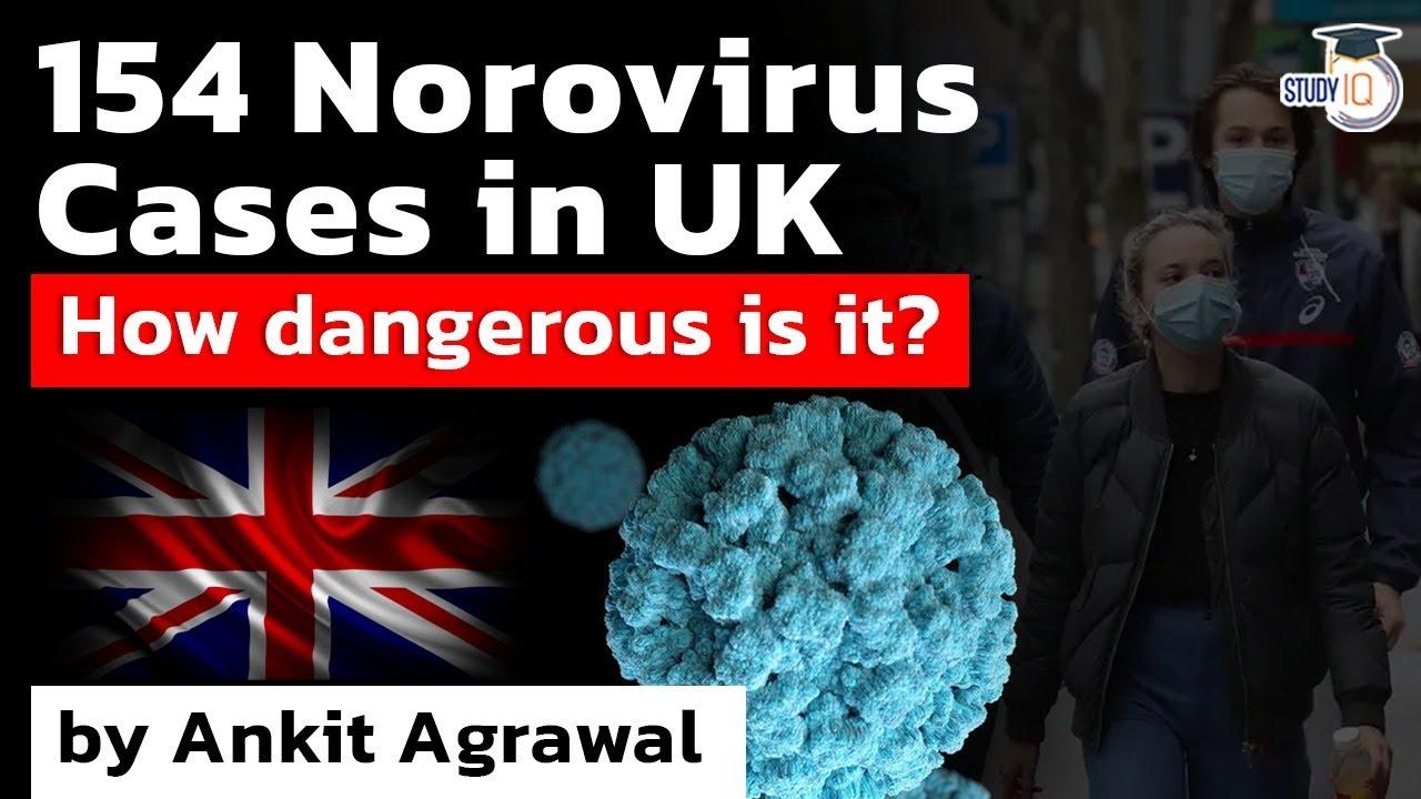 norovirus