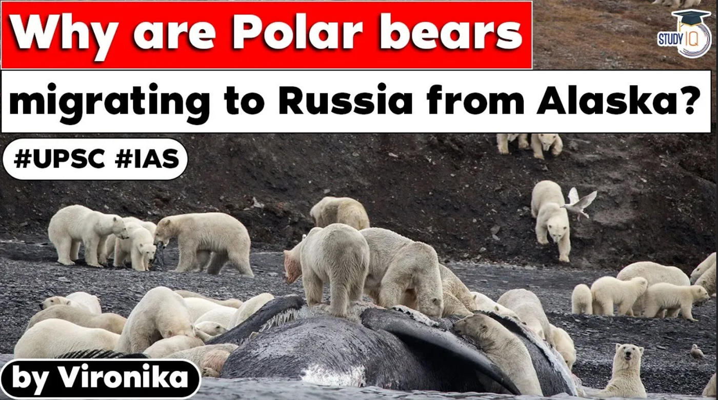 polar