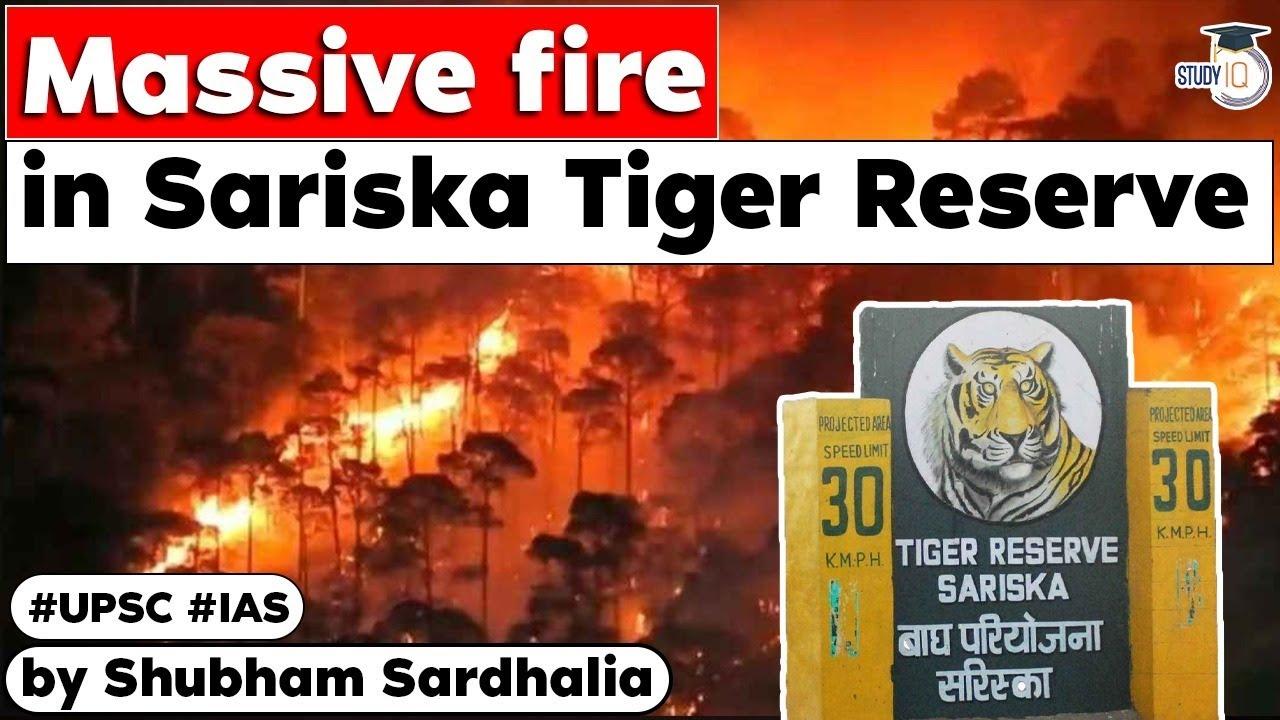 sariska tiger reseve feature image