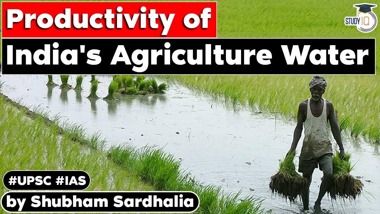 productivity of agriculture water featur image