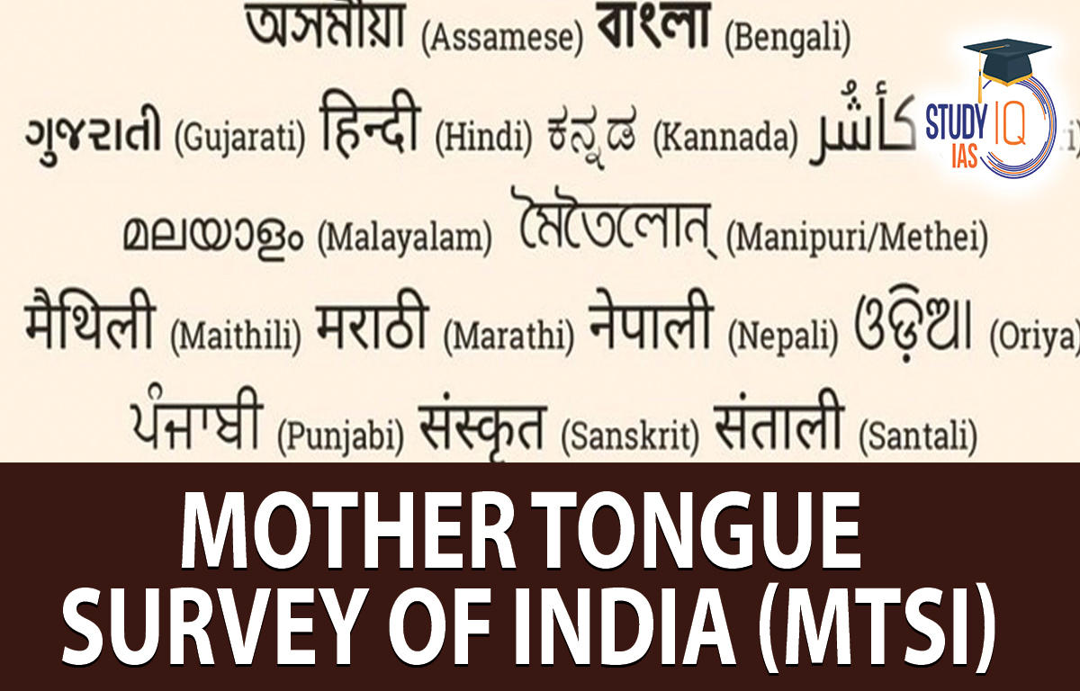 Mother Tongue Survey of India