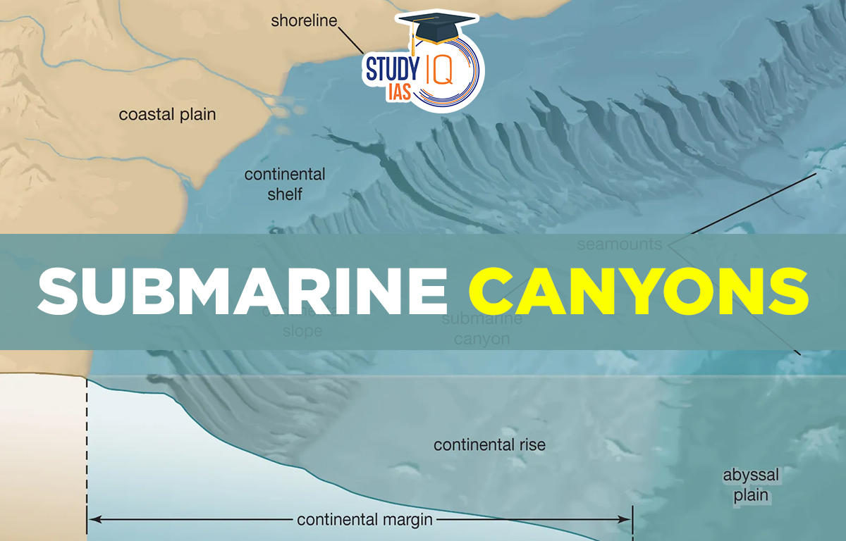 Submarine Canyons, Meaning, Formation & Examples