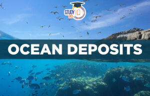 Ocean Deposits