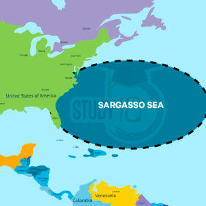 Sargasso Sea