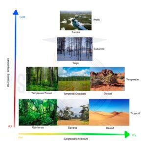 Biomes Meaning, Map, Types, Examples, & Facts_5.1