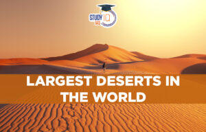 Largest Deserts in the World