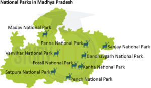 National Parks in Madhya Pradesh