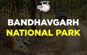 Bandhavgarh National Park