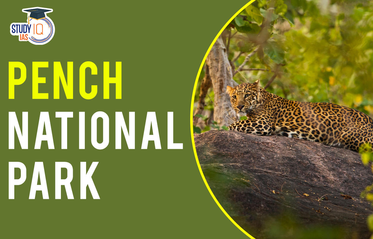Pench national park