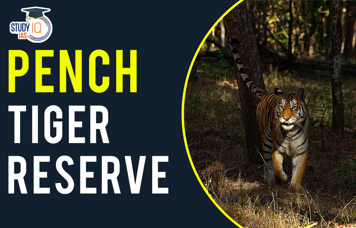 Pench tiger reserve
