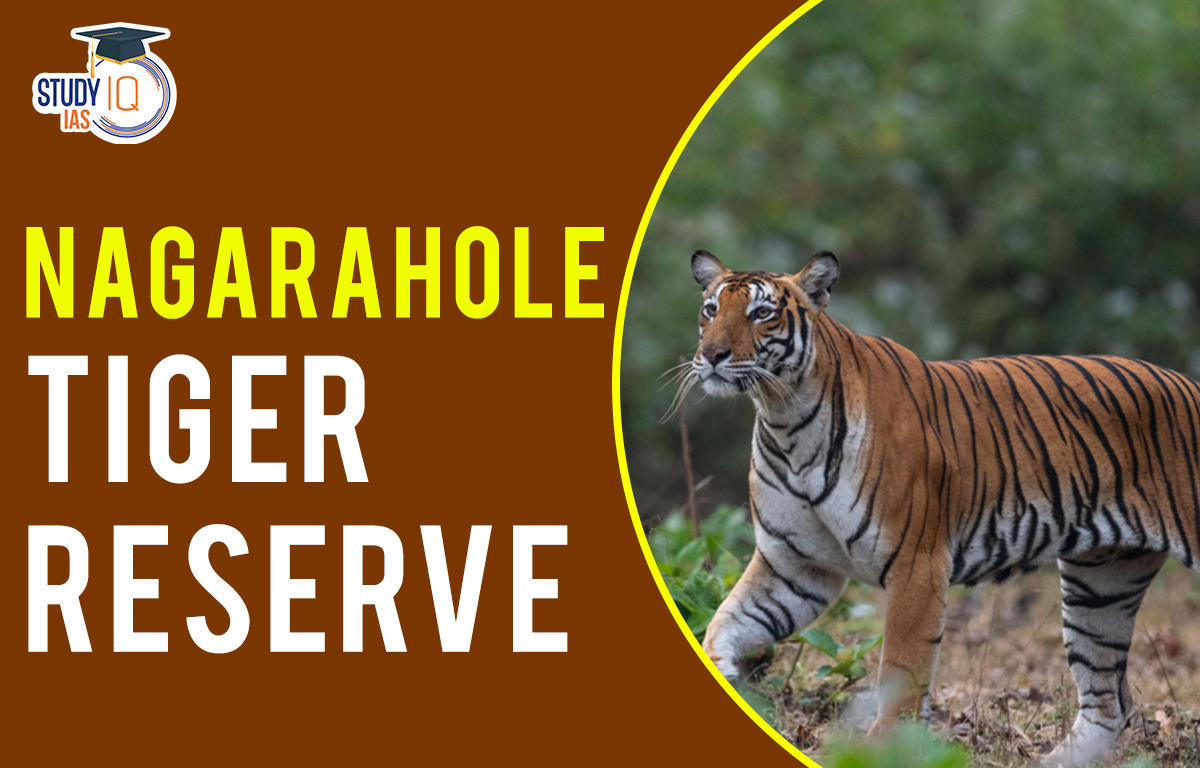 Nagarahole tiger reserve
