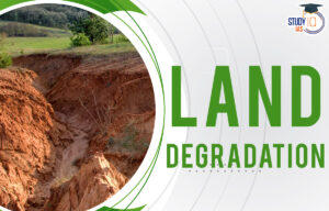 Land Degradation