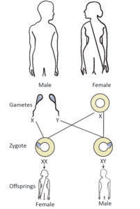 Biology - Extra Study Material_4.1