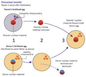 Biology - Extra Study Material_9.1