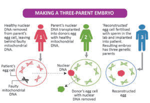 Biology - Extra Study Material_8.1