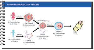 Biology - Extra Study Material_13.1