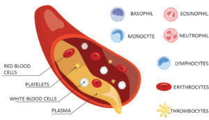 Biology - Extra Study Material_15.1